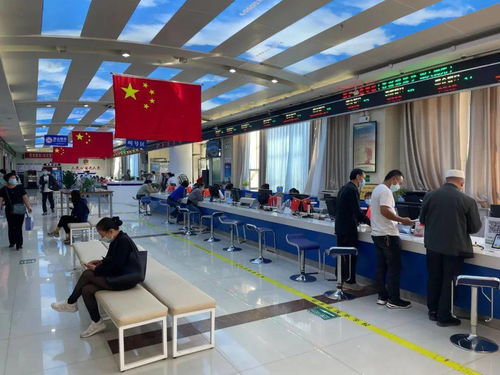 我市不动产登记信息查询业务实现全程掌上办，信息技术咨询服务提升便民水平