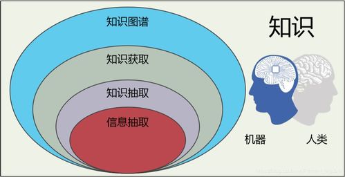 信息抽取在知识图谱构建中的实践与应用